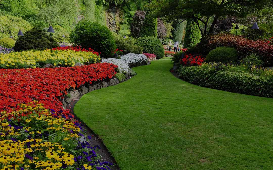 Diamond Landscapes