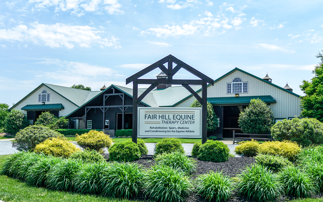 Fairhill Therapy