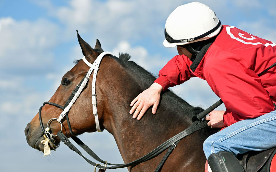 Fairhill Training Center